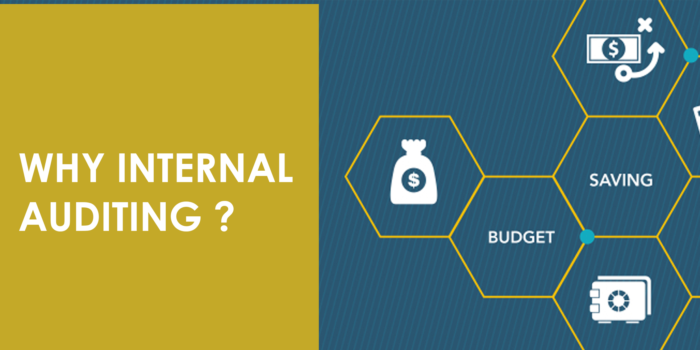 Why Internal Auditing ?